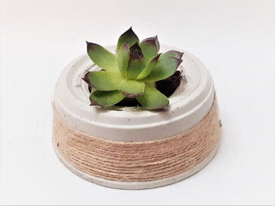 Twine Wrapped Concrete Planter | Succulents Cactus Pot | Cement Plant Pot | Home Decor | Housewarming Gift |Mother&#39;s Day Gift| Birthday Gift