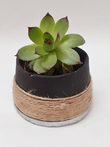 Twine Wrapped Concrete Planter | Succulents Cactus Pot | Cement Plant Pot | Home Decor | Housewarming Gift |Mother&#39;s Day Gift| Birthday Gift