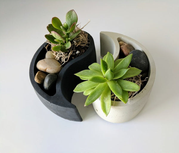 Yin Yang Concrete Cement Planter | Succulents Cactus | Cement Pot | Home Decor | Housewarming Gift |Mother&#39;s Day Gift| Birthday Gift