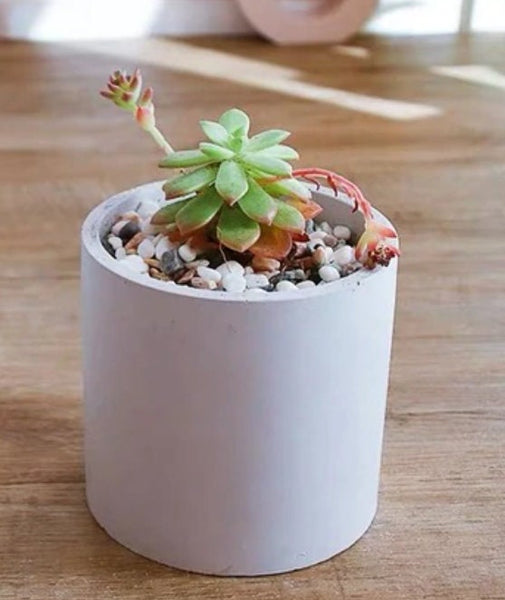 Zen Tower Concrete Planter|Succulents Cactus Pot| Twine Wrapped|Cement Plant Pot| Home Decor|Housewarming|Mother&#39;s Day|Birthday Gift