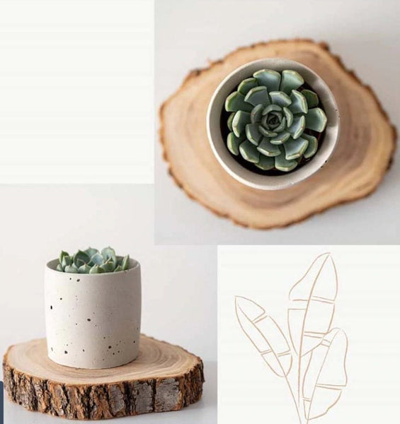 Zen Tower Concrete Planter|Succulents Cactus Pot| Twine Wrapped|Cement Plant Pot| Home Decor|Housewarming|Mother&#39;s Day|Birthday Gift