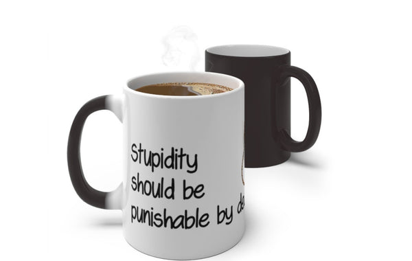 Stupidity punishment, Funny Jokes,Sarcastic Quotes Mug/Printed Normal/Magic/Color Changing Ceramic Mug Gifts,Microwave safe