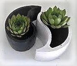 Yin Yang Concrete Cement Planter | Succulents Cactus | Cement Pot | Home Decor | Housewarming Gift |Mother&#39;s Day Gift| Birthday Gift