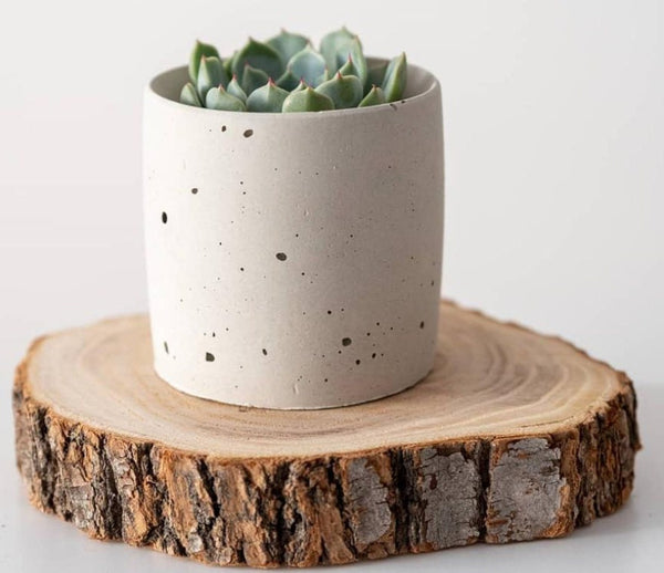 Zen Tower Concrete Planter|Succulents Cactus Pot| Twine Wrapped|Cement Plant Pot| Home Decor|Housewarming|Mother&#39;s Day|Birthday Gift