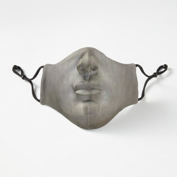 Michael Angelo&#39;s David Face Mask  Realistic,Adults/kids/Washable/Adjustable strap with fitted Nose wire,Funny Valentine Gift