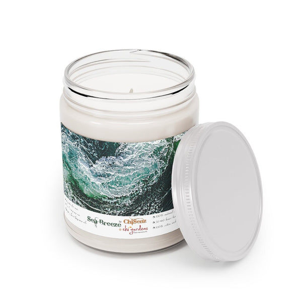 7.5oz Sea Breeze Scent Soy Wax Candle,Lasting Aromatherapy Pampering Gift for Housewarming/Graduation/Christmas/Halloween/Birthday/Bath Gift