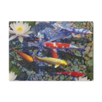 Lucky 8 Kois Fish Glass Cutting Board,Cheese serving board.Gift for Valentines/Housewarming/Birthday/Anniversary/Graduation/Mothers Day